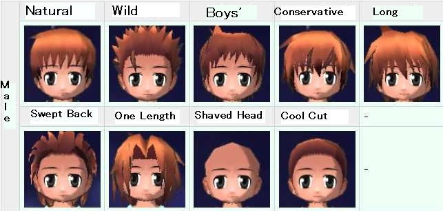 Male Starting Hair Styles